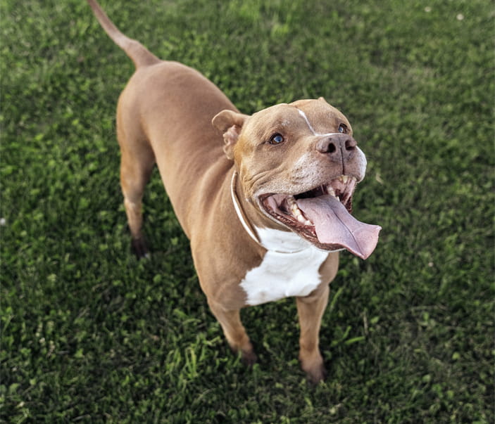 Group of WSU Students Working on a Project